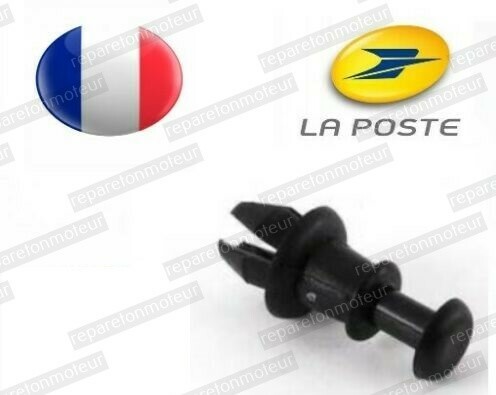 Pcs clip fixation - 1,